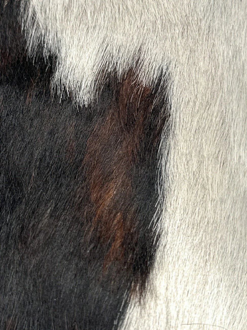 Miniature 5